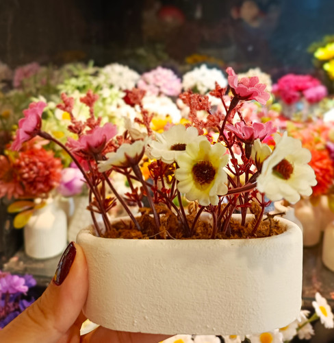 گل ترکیبی سفید صورتی